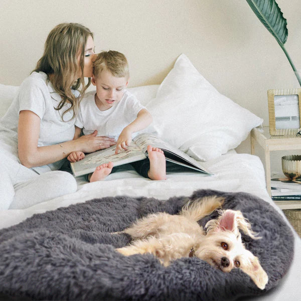 Different types sales of dog beds