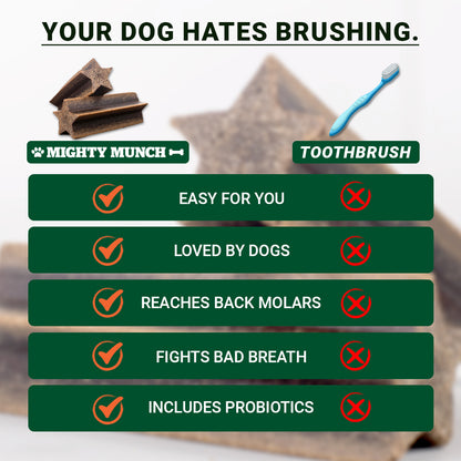 Dental Sticks (US)