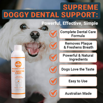 Dental Care (US)