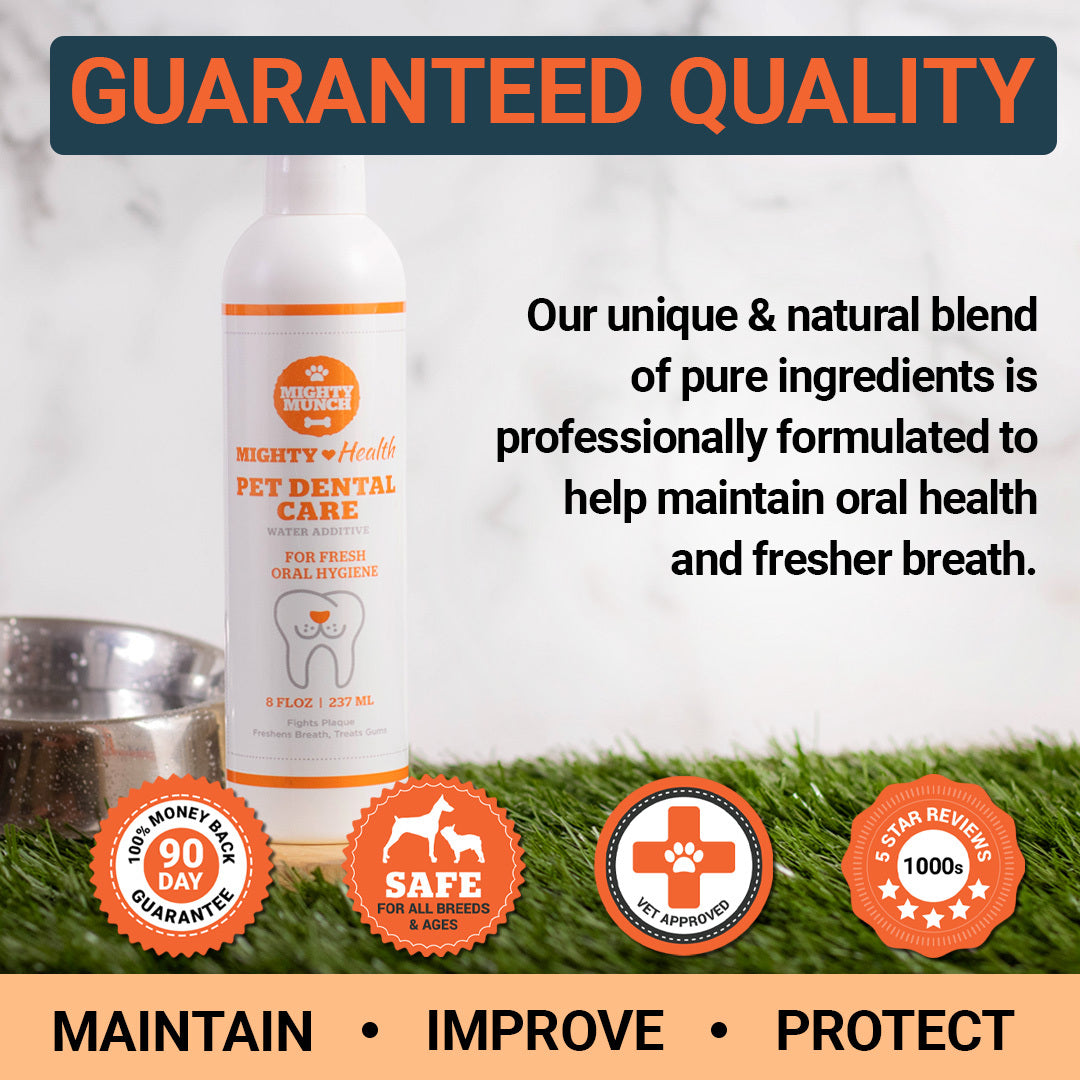 Dental Care (US)