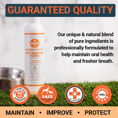 Dental Care (US)
