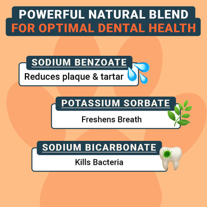 Dental Care (US)
