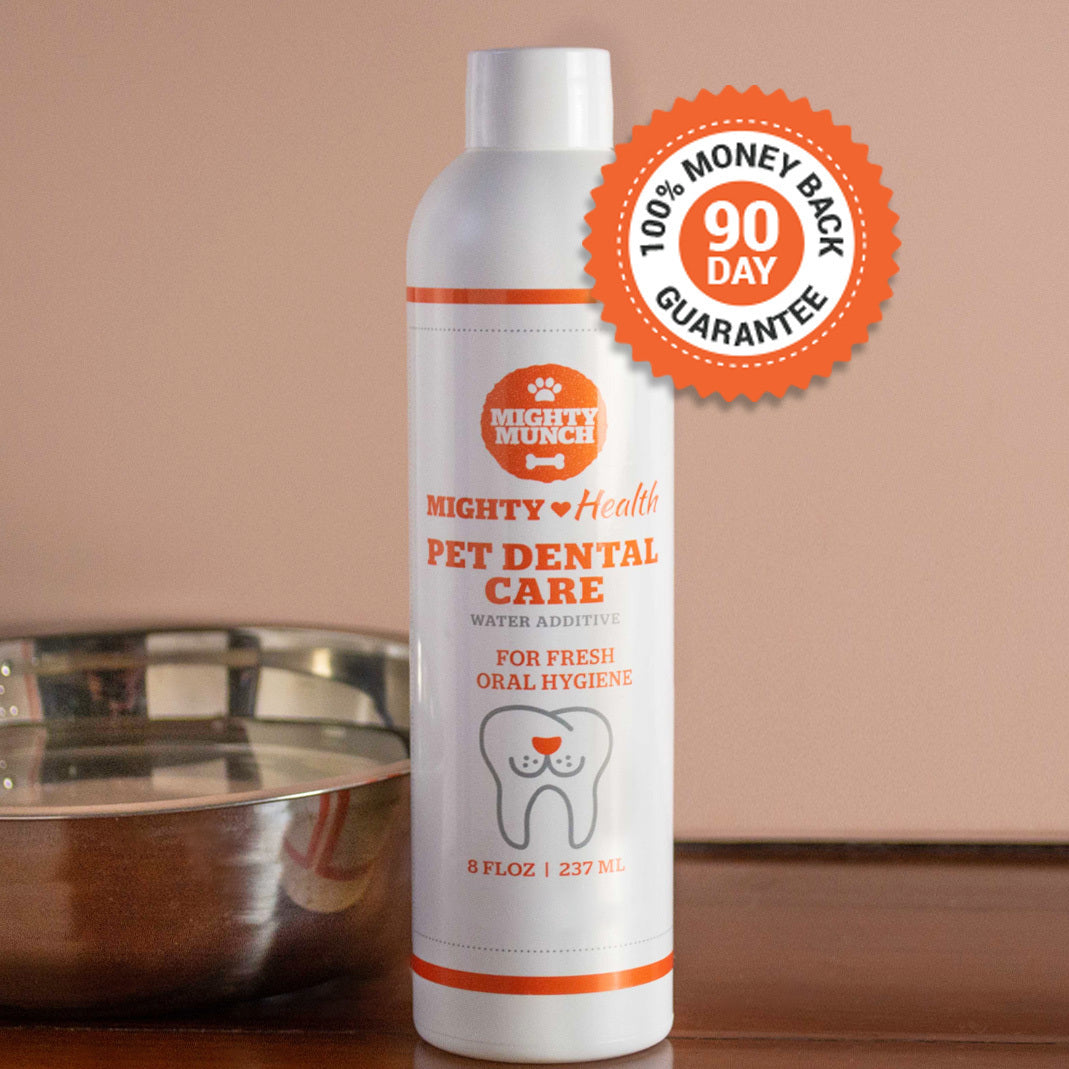 Dental Care (US)
