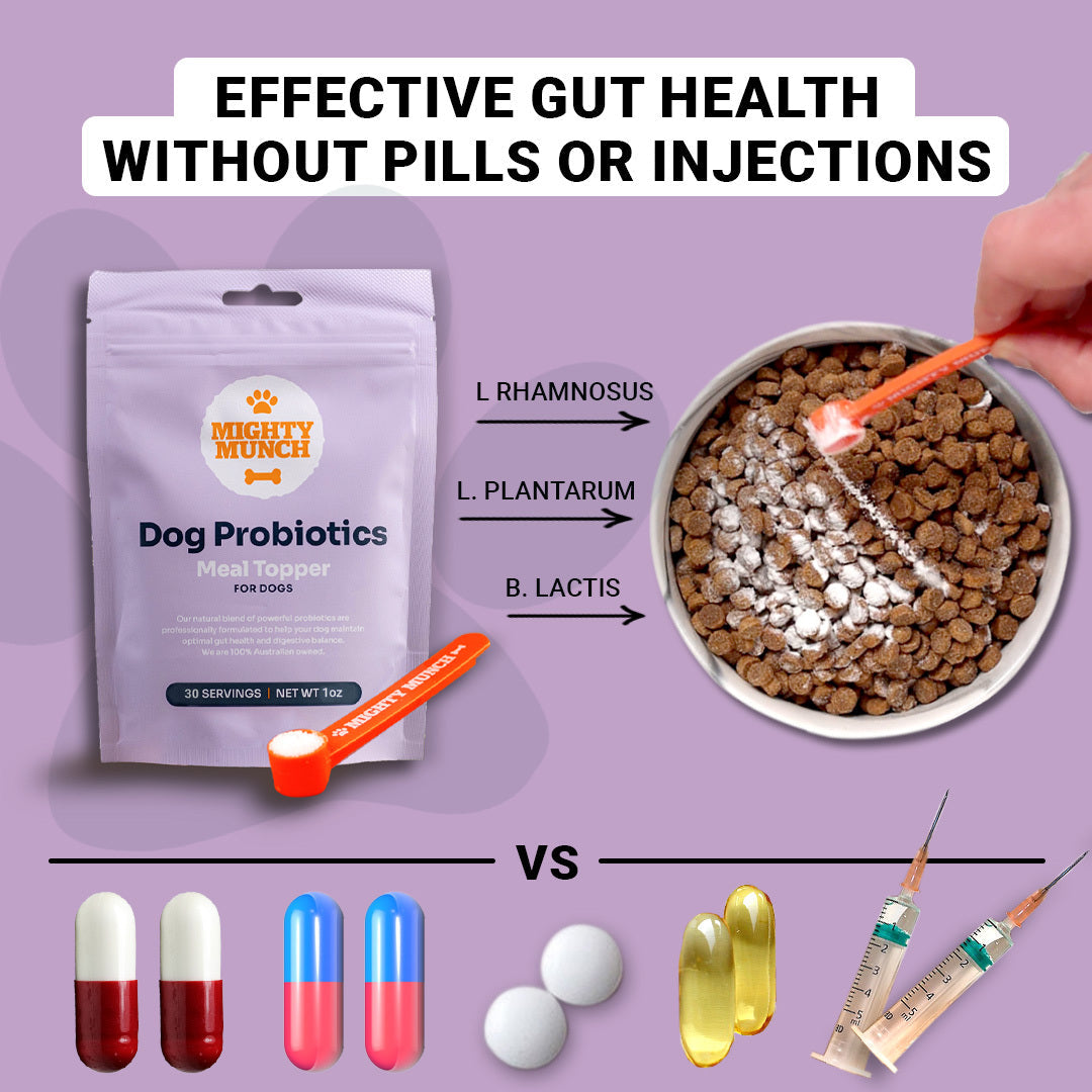 Dog Probiotics Deal (US)