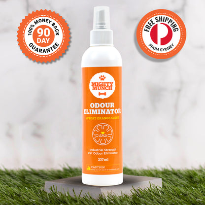 Pet Odour Eliminator | Pet Odour Remover